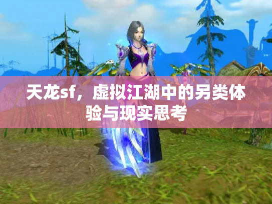 天龙sf，虚拟江湖中的另类体验与现实思考