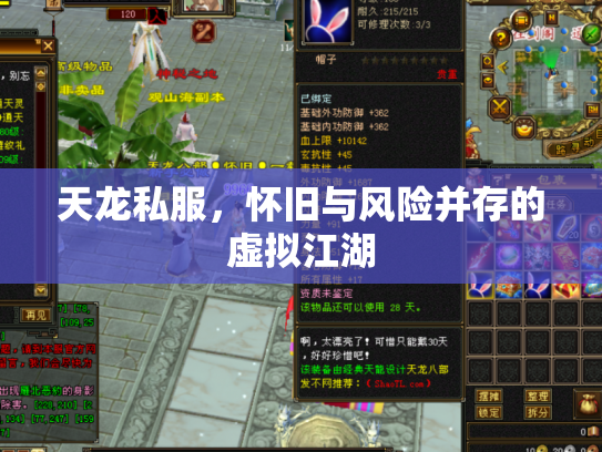 天龙私服，怀旧与风险并存的虚拟江湖