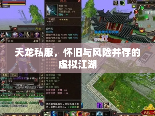 天龙私服，怀旧与风险并存的虚拟江湖
