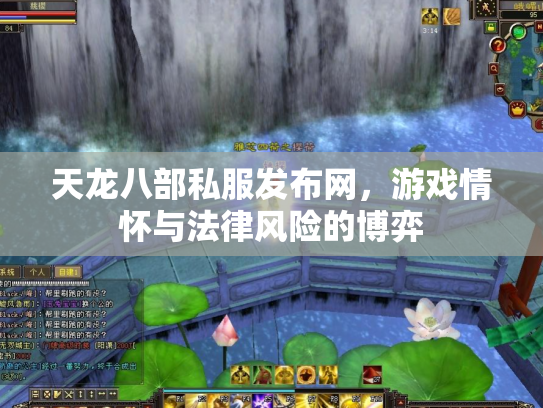 天龙八部私服发布网，游戏情怀与法律风险的博弈