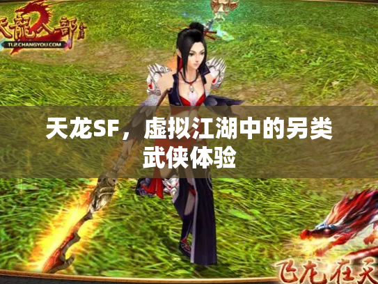 天龙SF，虚拟江湖中的另类武侠体验