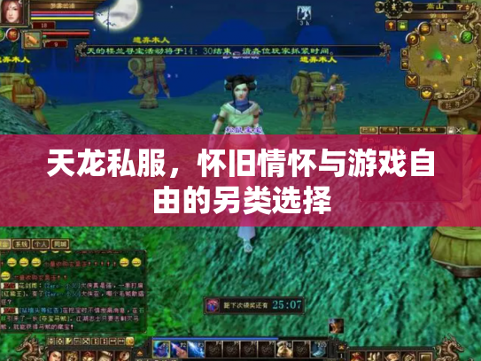 天龙私服，怀旧情怀与游戏自由的另类选择