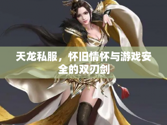 天龙私服，怀旧情怀与游戏安全的双刃剑