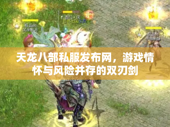 天龙八部私服发布网，游戏情怀与风险并存的双刃剑