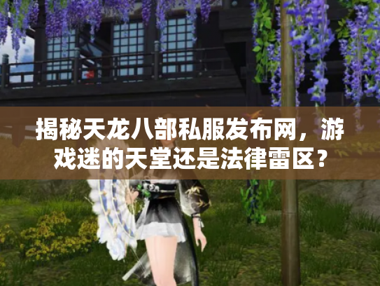 揭秘天龙八部私服发布网，游戏迷的天堂还是法律雷区？