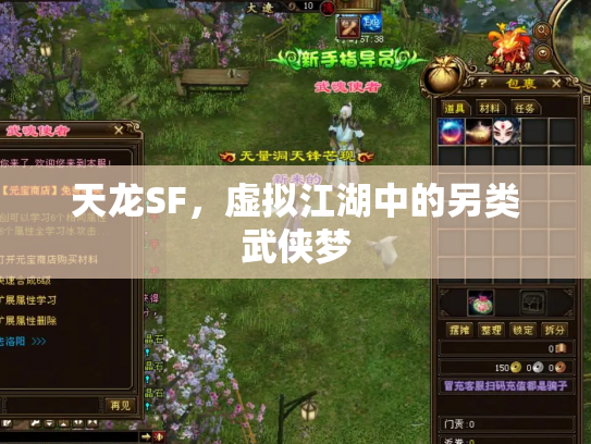天龙SF，虚拟江湖中的另类武侠梦
