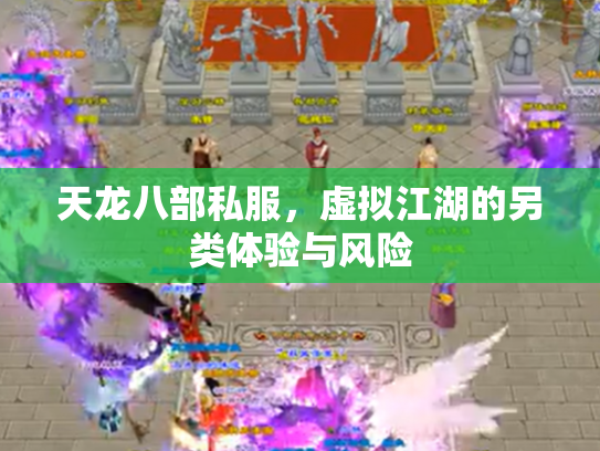 天龙八部私服，虚拟江湖的另类体验与风险