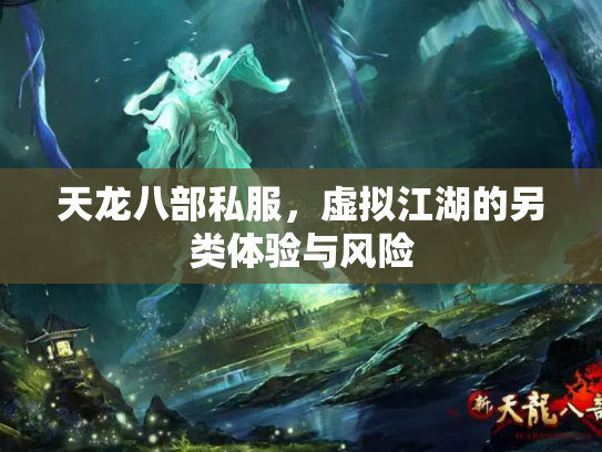 天龙八部私服，虚拟江湖的另类体验与风险
