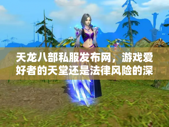 天龙八部私服发布网，游戏爱好者的天堂还是法律风险的深渊？