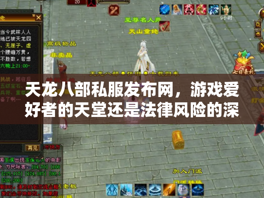 天龙八部私服发布网，游戏爱好者的天堂还是法律风险的深渊？