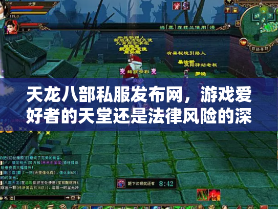 天龙八部私服发布网，游戏爱好者的天堂还是法律风险的深渊？
