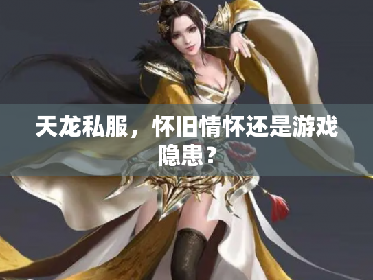 天龙私服，怀旧情怀还是游戏隐患？