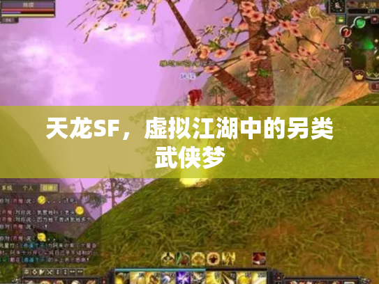 天龙SF，虚拟江湖中的另类武侠梦