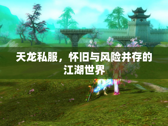 天龙私服，怀旧与风险并存的江湖世界