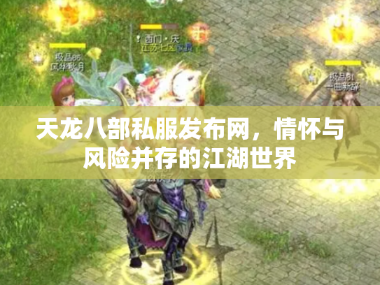 天龙八部私服发布网，情怀与风险并存的江湖世界