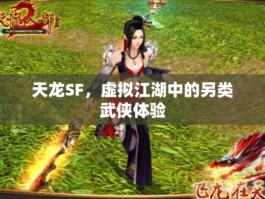 天龙SF，虚拟江湖中的另类武侠体验