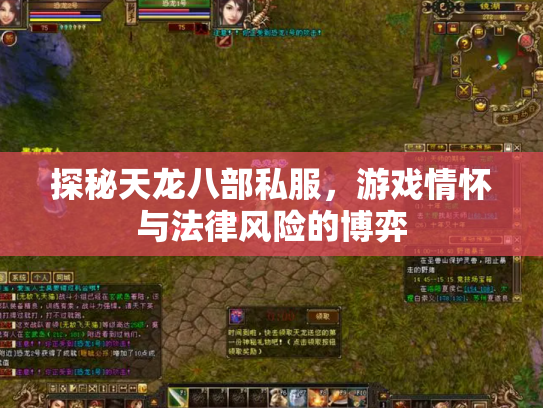 探秘天龙八部私服，游戏情怀与法律风险的博弈