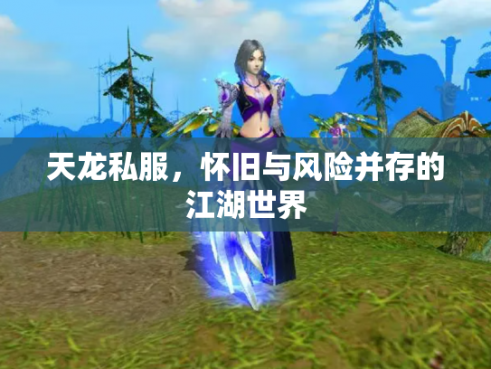 天龙私服，怀旧与风险并存的江湖世界