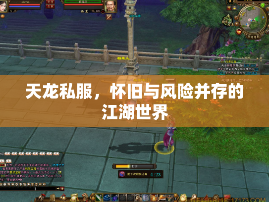 天龙私服，怀旧与风险并存的江湖世界