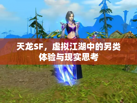天龙SF，虚拟江湖中的另类体验与现实思考