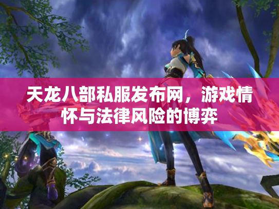 天龙八部私服发布网，游戏情怀与法律风险的博弈