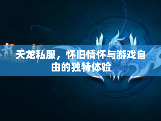 天龙私服，怀旧情怀与游戏自由的独特体验