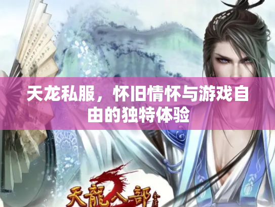 天龙私服，怀旧情怀与游戏自由的独特体验