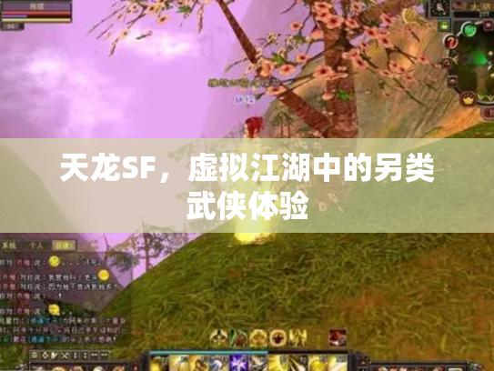 天龙SF，虚拟江湖中的另类武侠体验