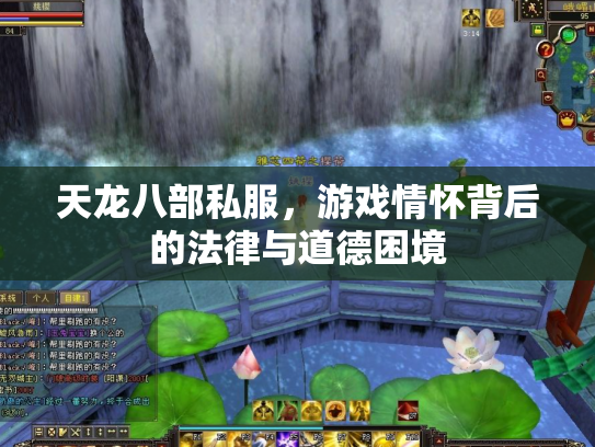 天龙八部私服，游戏情怀背后的法律与道德困境