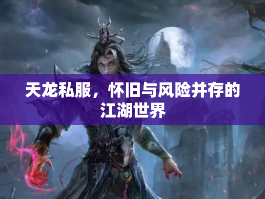 天龙私服，怀旧与风险并存的江湖世界