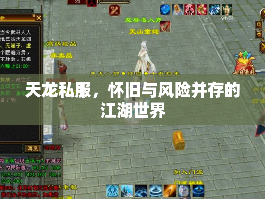 天龙私服，怀旧与风险并存的江湖世界