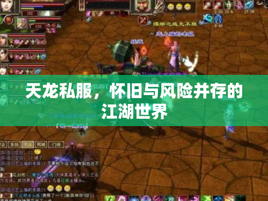 天龙私服，怀旧与风险并存的江湖世界