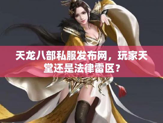 天龙八部私服发布网，玩家天堂还是法律雷区？