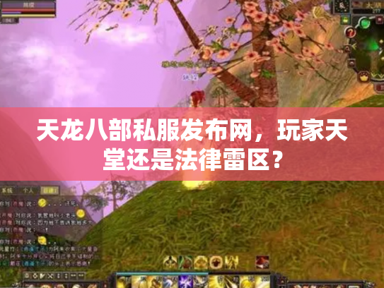 天龙八部私服发布网，玩家天堂还是法律雷区？