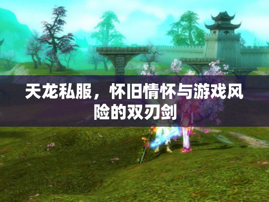 天龙私服，怀旧情怀与游戏风险的双刃剑