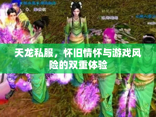 天龙私服，怀旧情怀与游戏风险的双重体验