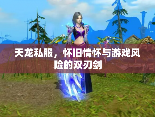 天龙私服，怀旧情怀与游戏风险的双刃剑