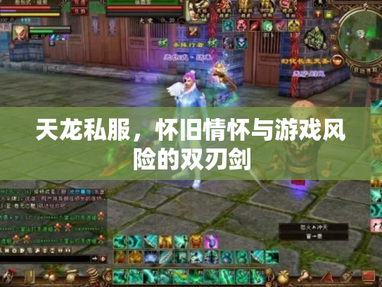 天龙私服，怀旧情怀与游戏风险的双刃剑