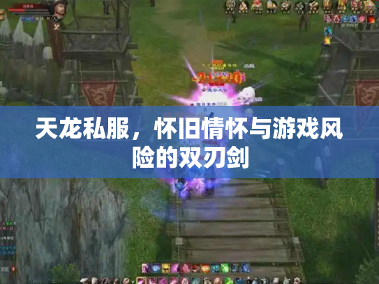 天龙私服，怀旧情怀与游戏风险的双刃剑