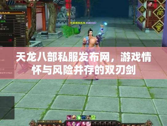 天龙八部私服发布网，游戏情怀与风险并存的双刃剑