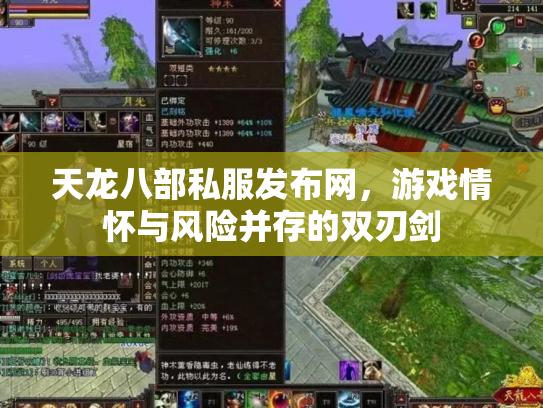 天龙八部私服发布网，游戏情怀与风险并存的双刃剑