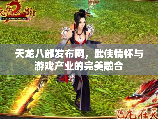 天龙八部发布网，武侠情怀与游戏产业的完美融合