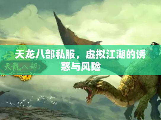 天龙八部私服，虚拟江湖的诱惑与风险