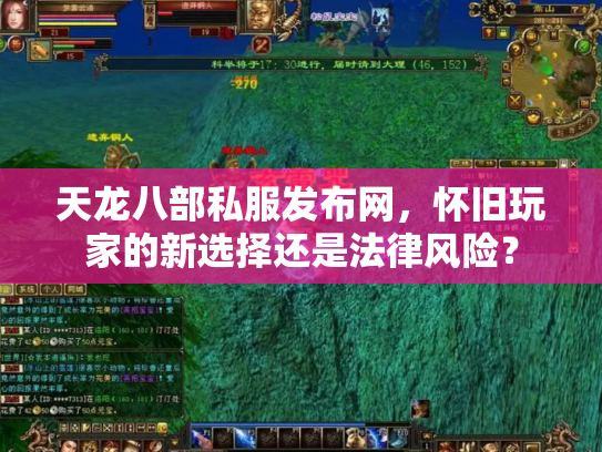天龙八部私服发布网，怀旧玩家的新选择还是法律风险？