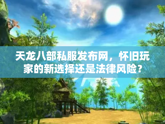 天龙八部私服发布网，怀旧玩家的新选择还是法律风险？