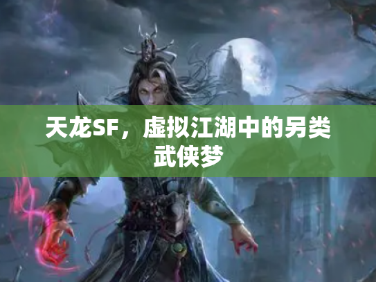 天龙SF，虚拟江湖中的另类武侠梦