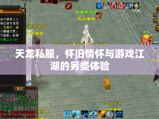 天龙私服，怀旧情怀与游戏江湖的另类体验