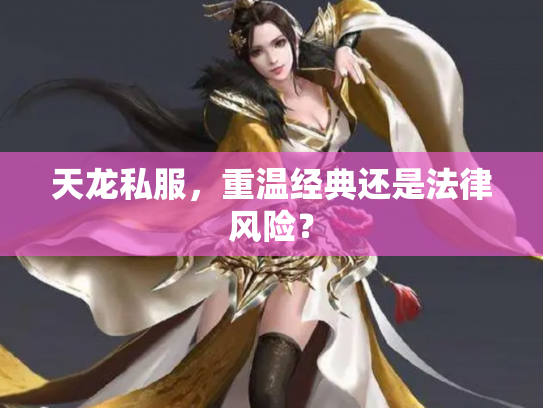 天龙私服，重温经典还是法律风险？
