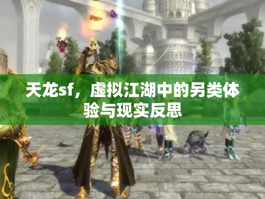 天龙sf，虚拟江湖中的另类体验与现实反思