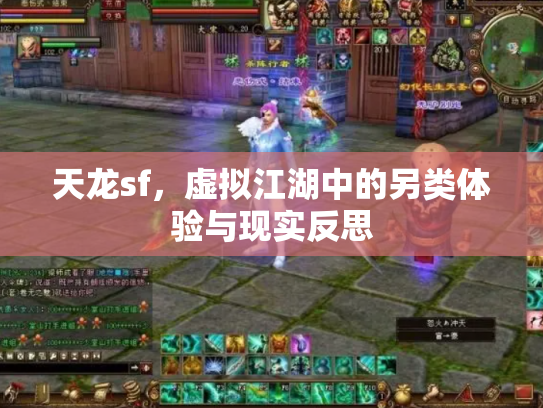 天龙sf，虚拟江湖中的另类体验与现实反思